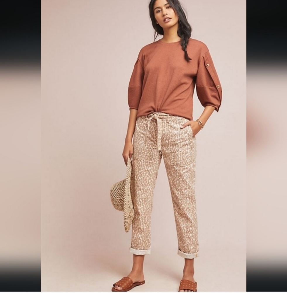 Anthropologie The Wanderer Utility Pants Size 26
